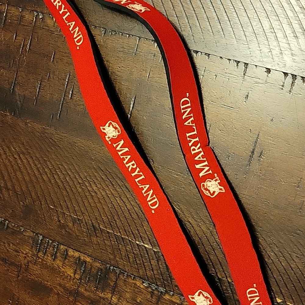 Lanyard